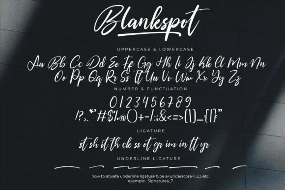 Blankspot Font