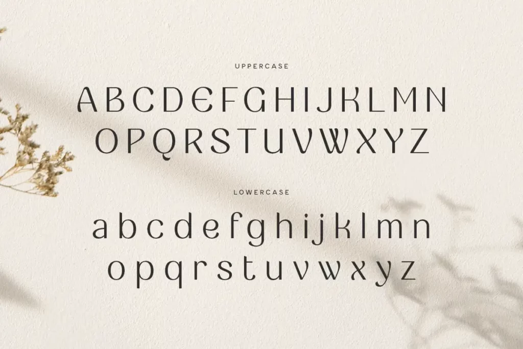 Begonia Font