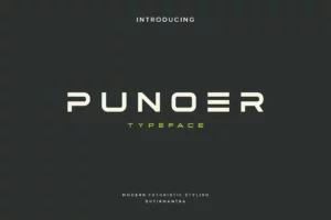 Punoer Font