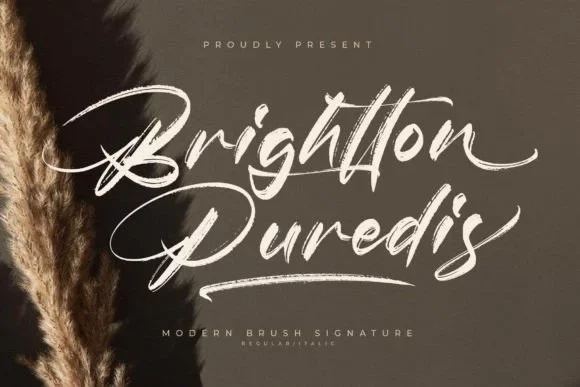 Brightton Puredis Font