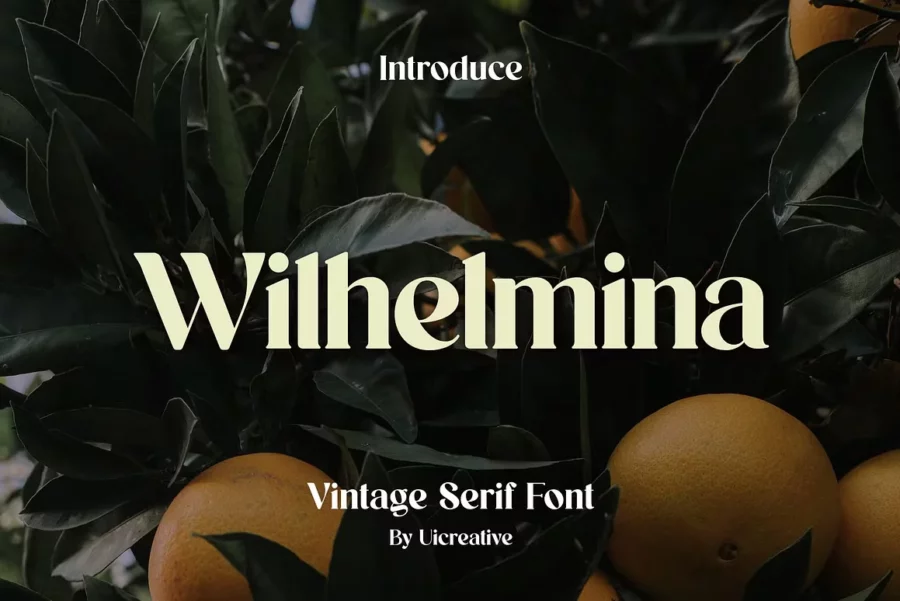 Wilhelmina Font